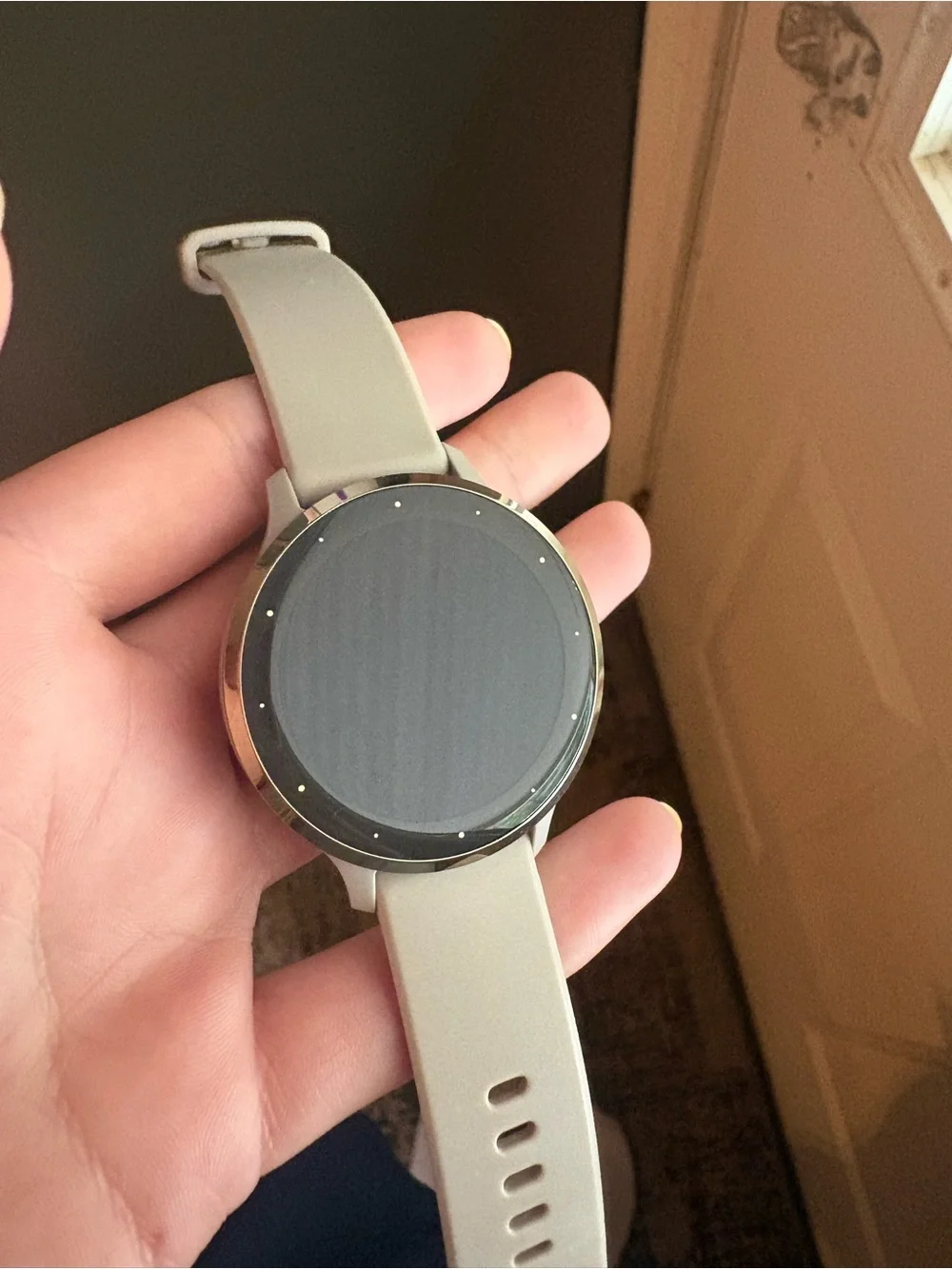 Garmin Smartwatch - Beige Strap with Silver Bezel
